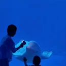 陵水黎族自治县旅游 缩略图 4