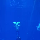 陵水黎族自治县旅游 缩略图 7