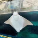 陵水黎族自治县旅游 缩略图 8