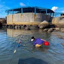 陵水黎族自治县旅游 缩略图 2