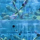 成都旅游 缩略图 4