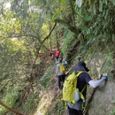 成都旅游 缩略图 11