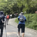 成都旅游 缩略图 4