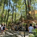 成都旅游 缩略图 7