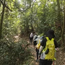 成都旅游 缩略图 9
