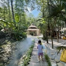 成都旅游 缩略图 8