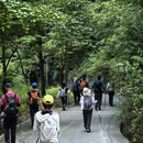 成都旅游 缩略图 3