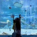 成都旅游 缩略图 1