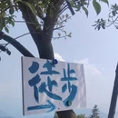 成都旅游 缩略图 14