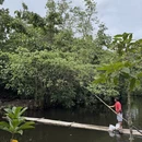 武汉旅游 缩略图 8