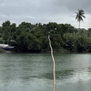 武汉旅游 缩略图 9