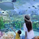 成都旅游 缩略图 3