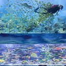 成都旅游 缩略图 9