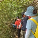 成都旅游 缩略图 10