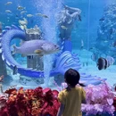 成都旅游 缩略图 2