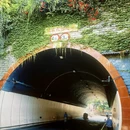 重庆旅游 缩略图 7