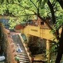 重庆旅游 缩略图 4