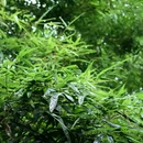 湖州旅游 缩略图 7