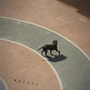 重庆旅游 缩略图 11
