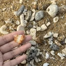 万宁旅游 缩略图 3
