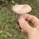 昆明旅游 缩略图 7