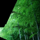 湖州旅游 缩略图 3