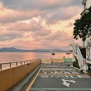 深圳旅游 缩略图 8