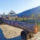 阿勒泰地区旅游 缩略图 8