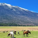 阿勒泰地区旅游 缩略图 3