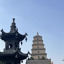 西安旅游 缩略图 13