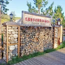 阿勒泰地区旅游 缩略图 7