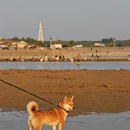 烟台旅游 缩略图 10