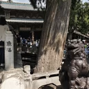 太原旅游 缩略图 5