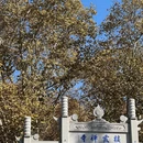 南京旅游 缩略图 3