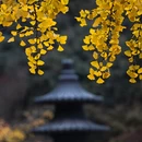 南京旅游 缩略图 6