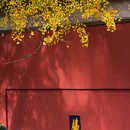 南京旅游 缩略图 11