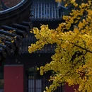 南京旅游 缩略图 10