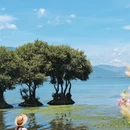 大理州旅游 缩略图 12