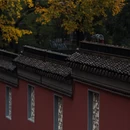 南京旅游 缩略图 7