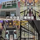 广州旅游 缩略图 7