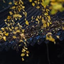 南京旅游 缩略图 3