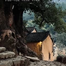 丽水旅游 缩略图 7