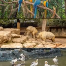杭州旅游 缩略图 7
