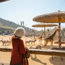 杭州旅游 缩略图 1