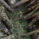 丽水旅游 缩略图 2
