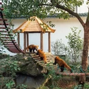 杭州旅游 缩略图 9