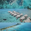 深圳旅游 缩略图 8