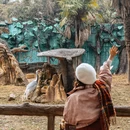 杭州旅游 缩略图 13