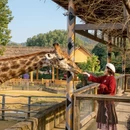 杭州旅游 缩略图 11