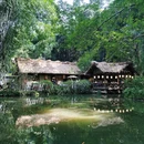 成都旅游 缩略图 4